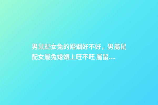 男鼠配女兔的婚姻好不好，男屬鼠配女屬兔婚姻上旺不旺 屬鼠男和屬兔女相配嗎-第1張-觀點-玄機派